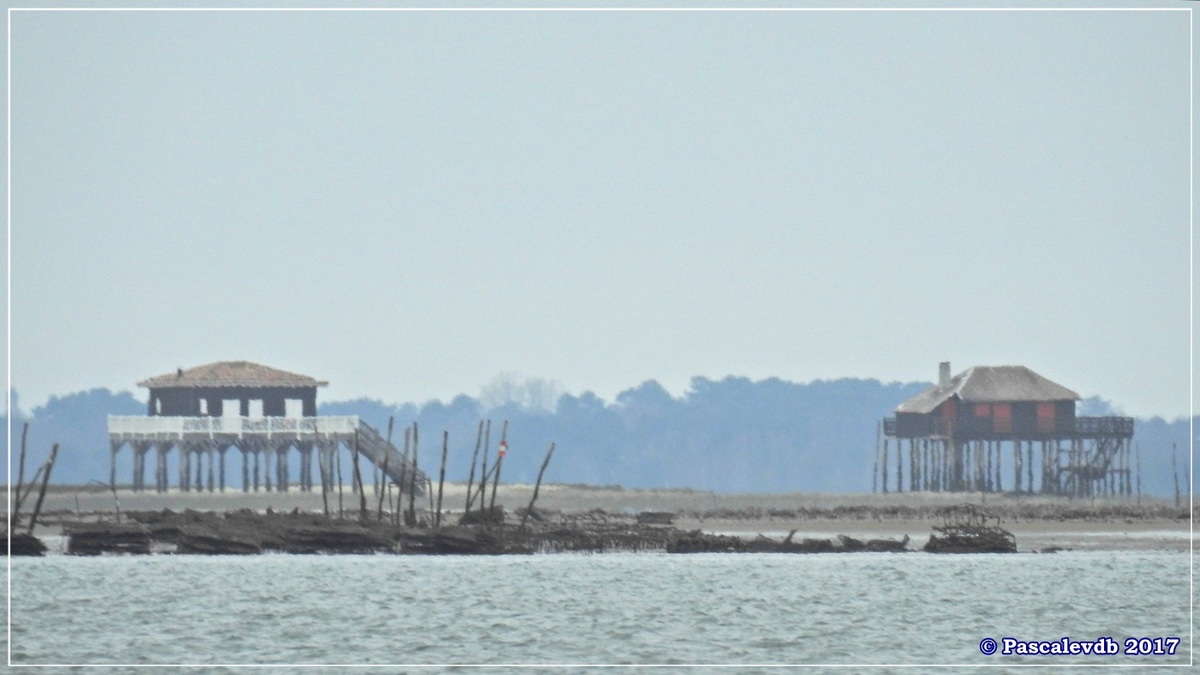 Traversée du Bassin entre Arcachon et le Cap Ferret - 1/14