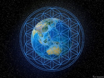 Les réseaux vitaux de la terre