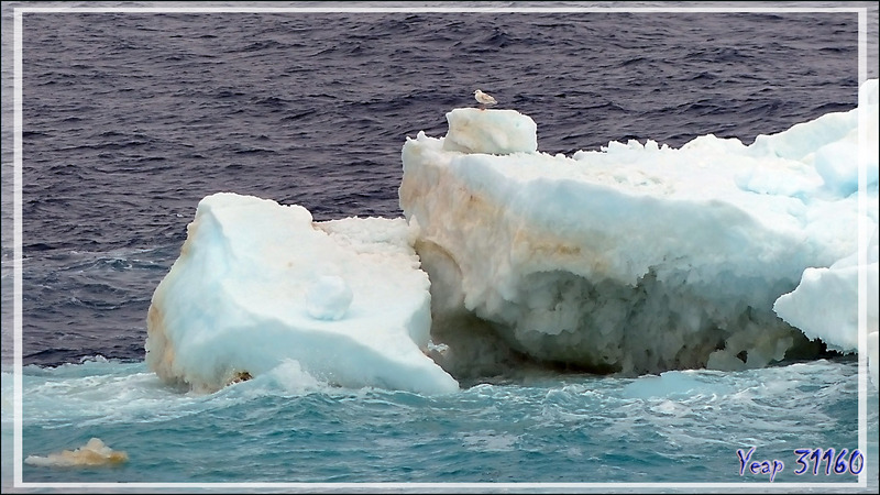 3 septembre 2016 : mouillage devant Point Barrow (Alaska) pour les formalités d'entrée sur le territoire des USA, 71° 18' 22" Nord, 156° 47' 57 "Ouest