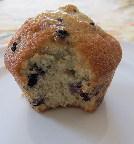 muffins aux myrtilles4