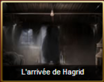 L'arrivÃ©e de Hagrid