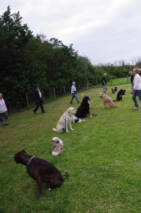 Entraînement du dimanche 16 juin 2013        1/2