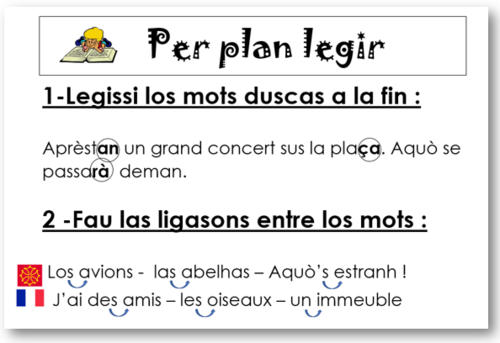  Lectura  cicle 2 - Afichas per plan legir 