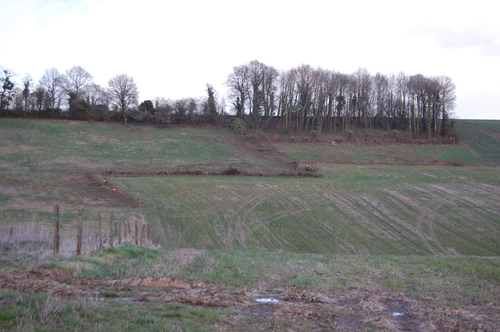 Arrachage de 1,5 km de haie autour de Corubert, Colonard-Corubert / 27 Mars, début avril 2015 