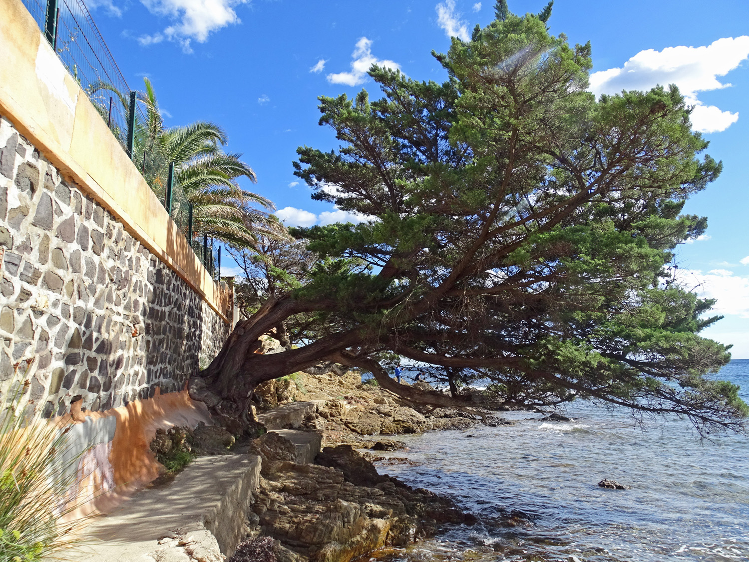 Le Chemin des douaniers St Aygulf