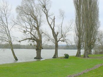 Autour du lac de Venables