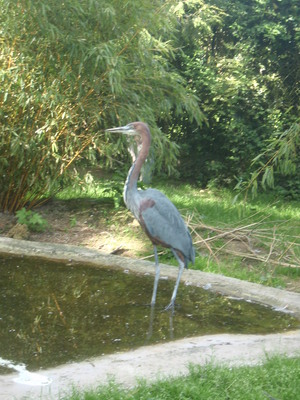 ZOO DE LA BOURBANSAIS