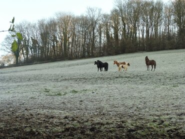 Les Défens