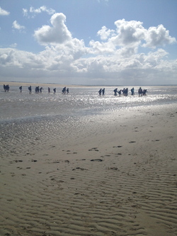 Mont Saint Michel 2013 