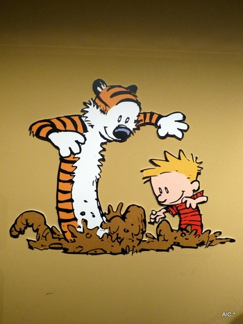 Calvin & Hobbes