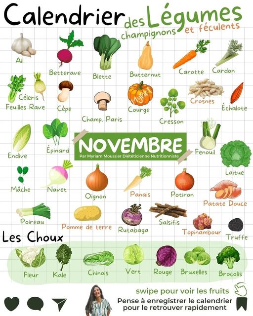 Peut être une image de 1 personne, aliment et texte qui dit ’Ail Calendrier des Légumes et féculents champignons Betterave Blette Butternut Céleris Feuilles Rave Carotte Cardon Cèpe Courge Cour Champ. Paris Crosnes Echalote Cresson Endive Epinard NOVEMBRE Par Myriam Moussier Diététicienne Nutritionniste Fenouil Mâche Navet Oignon Laitue Panais Potiron Poireau omme de terre Rutabaga Les Choux Patate Douce Salsifis Topinambour Truffe Fleur Kale Chinois Vert Rouge Bruxelles Brocolis swipe pour voir les fruits Pense enregistrer le calendrier pour le retrouver apidement’