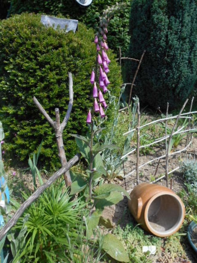 L'Ascension et le potager 