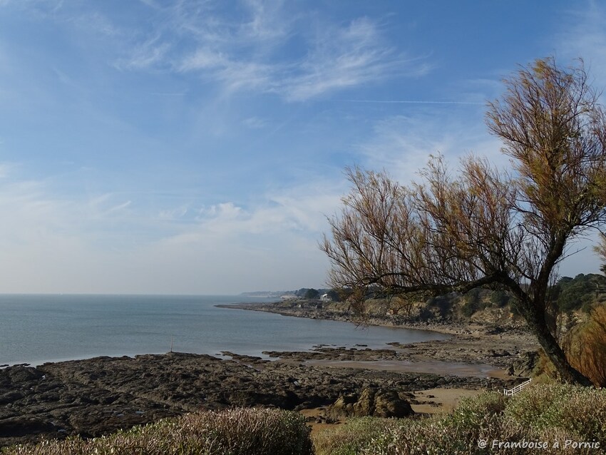 Pornic, balade littoral Fontaine et Monval