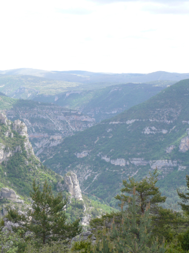 LE CAUSSE