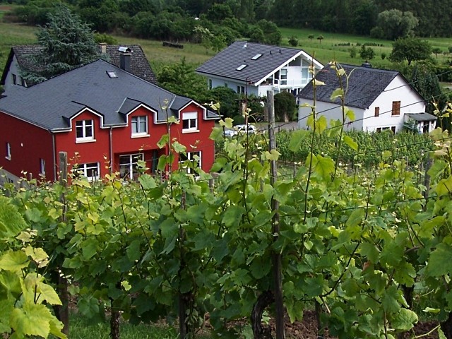 Vignoble Luxembourgeois 24 Marc de Metz 2011