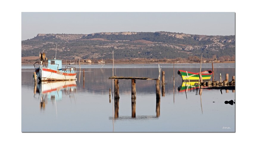 Etang de Bages (Aude)  Reflets