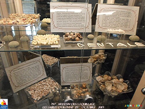 MUSEUM DU COQUILLAGE  10/16   vacances 10/ 2013  SABLES D'OLONNE    20/01/2014