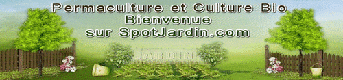 Culture conventionnelle, bio, naturelle, permaculture, comment s'y retrouver ?   