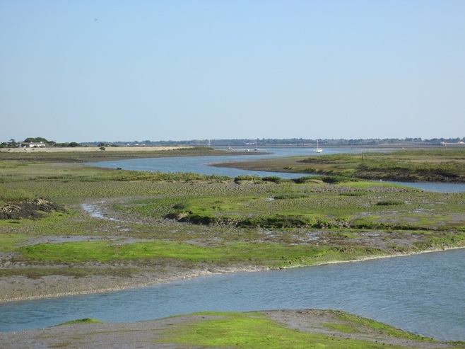 FIER D'ARS - Conservatoire du littoral