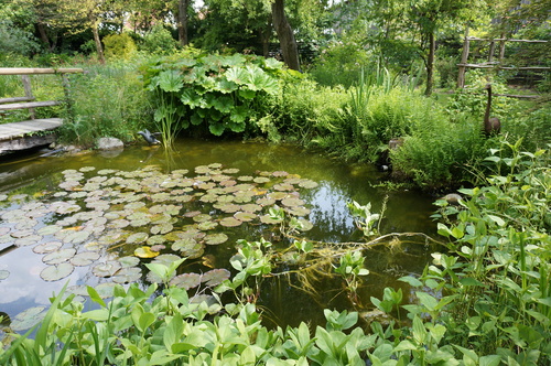 Escapade en Alsace : le jardin de Marguerite