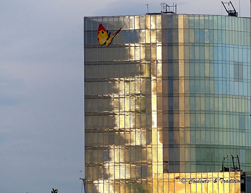 Reflets sur la Rambla de mar