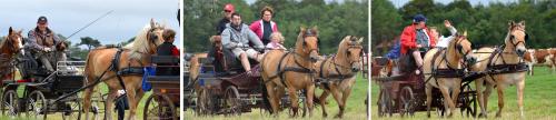 15 Juillet - Témoignage - La seconde 1/2 étape - Quiberville => Veules