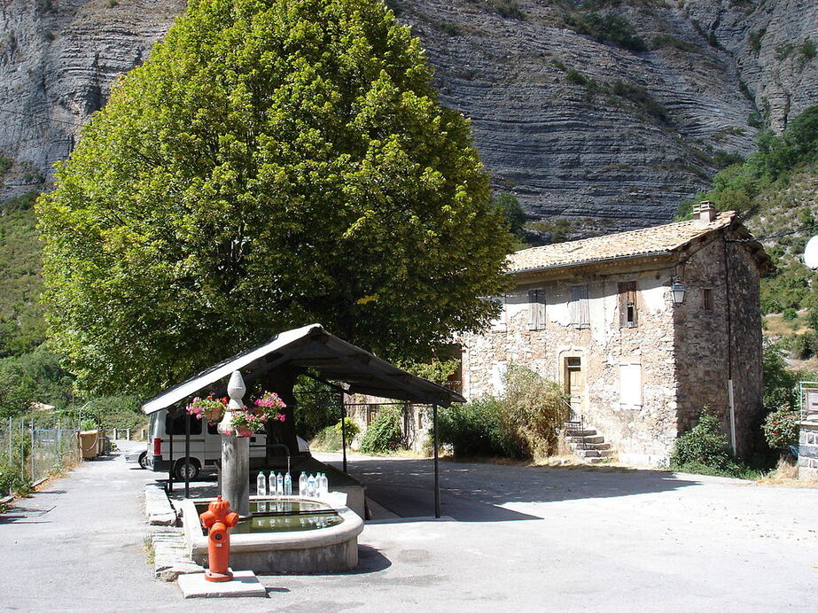 Faucon-du-Caire en 2007.