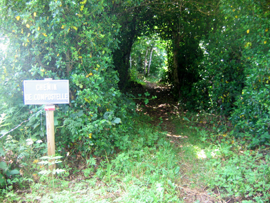 Chemin d'Arles 2008 - Murat s/Vèbre (27km)