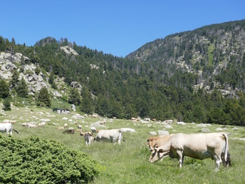 Arrivée au Pla de Grill