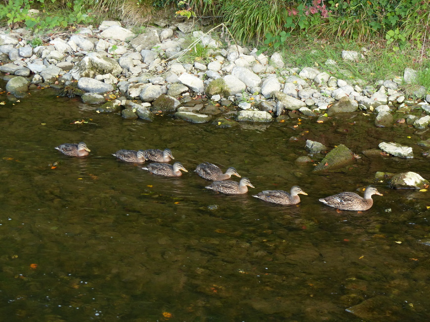 Balade en famille