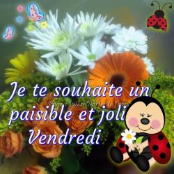 Vendredi 29 mai 2020 :