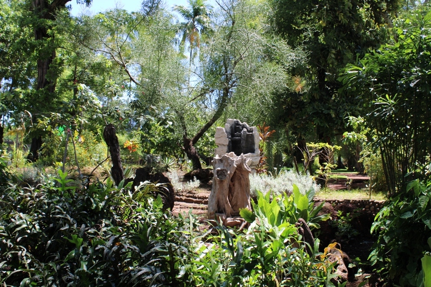 5/9/22 : JARDIN DE L'ETAT A SAINT-DENIS (4/6)