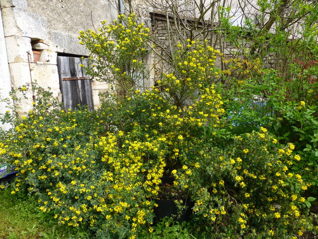 Saint-Germain de Montbron,