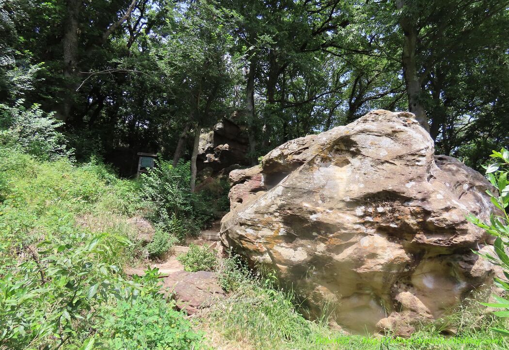 l'étang de la Capelle dans le Gard