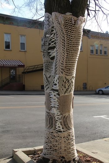 knitting_bloomington-trees-x