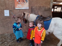 maternelle : activité Poney - séance 1