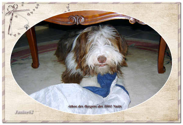 Athos Athos