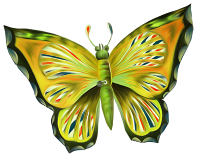 Papillon  3