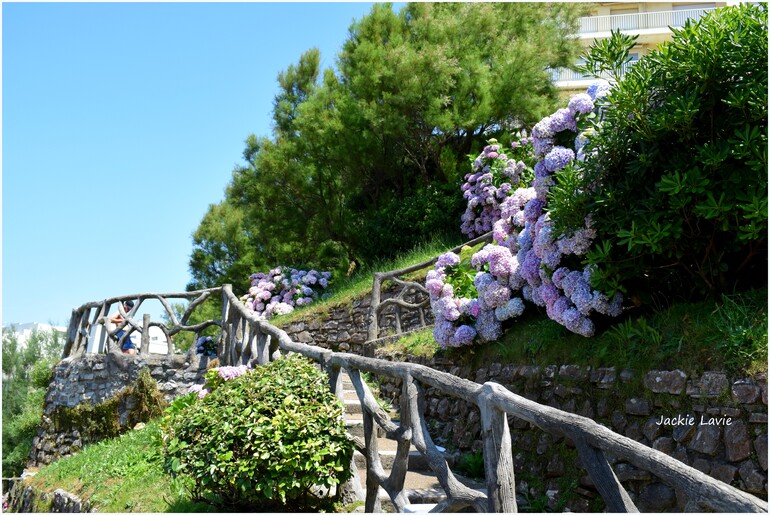 Les jardins en fleur