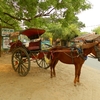 29mars 138 Promenade à cheval dans Bagan