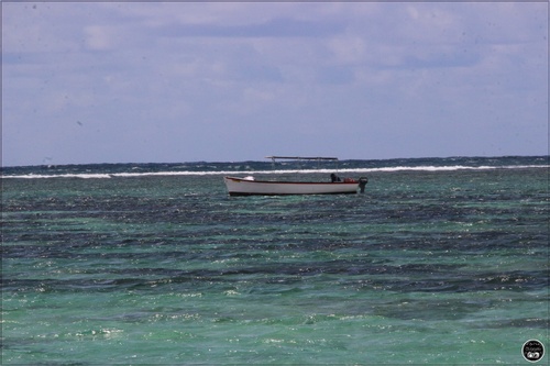 Île aux Cerfs, à l'île Maurice 