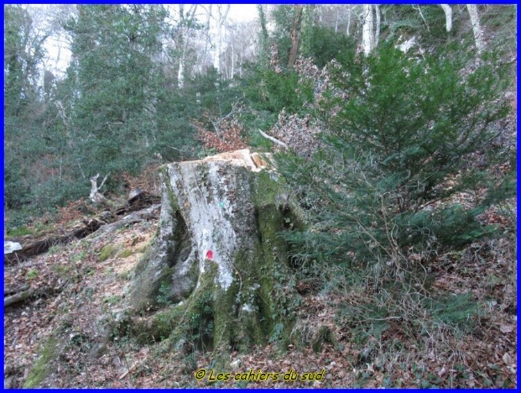 Crèche des collines 2020, retrait