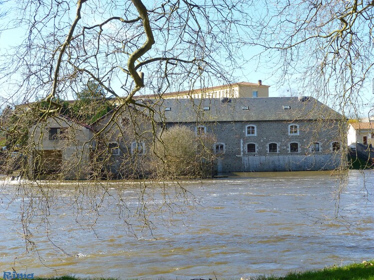 Villevert ,charente,