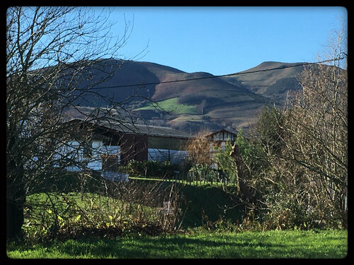 Ferme basque !