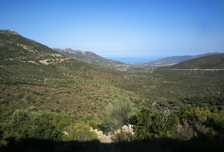 Vacances en Corse, automne 2023. 8. Train Bastia/Calvi