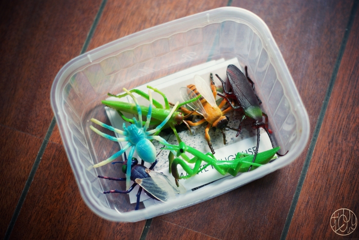 Un p'tit jeu sur les insectes (inspiration Montessori)