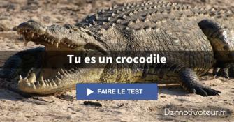 quel animal je suis quand je suis fache