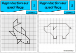 REPRODUCTION SUR QUADRILLAGE