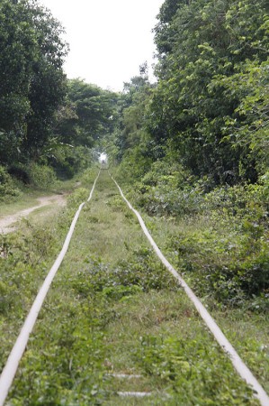 Le Bamboo Train, Cambodge