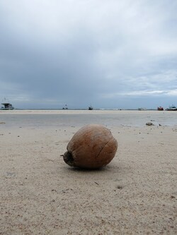 17 Juin 2013 - Ko Tao - Sairee Beach